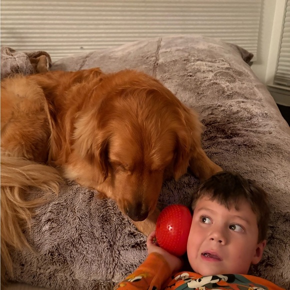 Stuart Weitzman White Cutout Leather Sandals Block Heel Size 7 - Picture 9 of 11